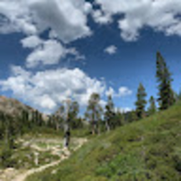 Meet your Posher, Jacob - Picture 1 of 1